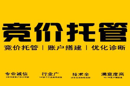 百度竞价广告运营全解析：成功案例揭秘